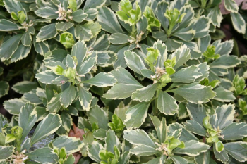 Obr�zok (3)